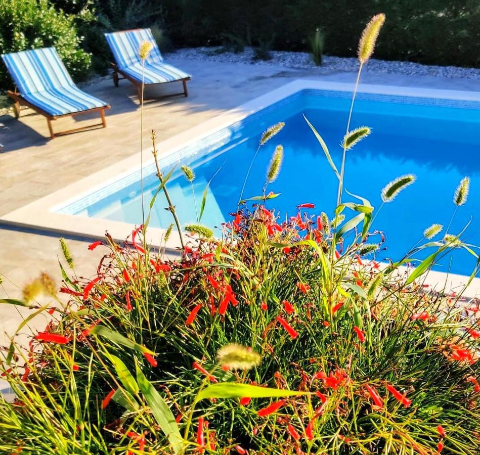 *****Pool House With Beautiful Seaview,Big Garden And Old Tavern***** Rijeka Extérieur photo
